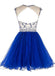 Προκλητικός Ανοίξτε πίσω το Βασιλικό Μπλε Σύντομο Τούλι homecoming prom φορέματα, CM0008