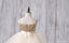 Goldflitterspitzentüllblumenmädchen zieht sich, schöne Ballettröckchenkleider für das kleine Mädchen, FG052 an